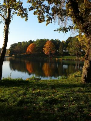 池塘, 秋天, 自然, 树木, 反思, 全景