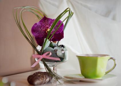 装饰, orchidea, 杯, 花, 复古