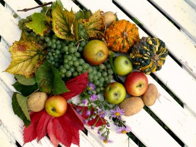 水果, 收获, 秋天, 感恩节, 葡萄, 苹果, 式样叮咬丰盈