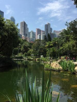 香港, 公园, 池塘, 摩天大楼, 花园, 城市景观, 城市场景