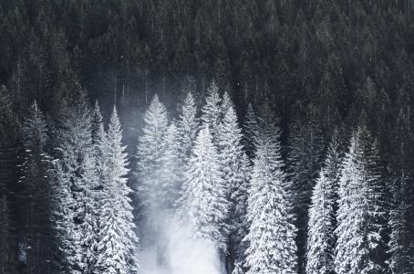 自然, 景观, 山, 伍兹, 森林, 雪, 冬天