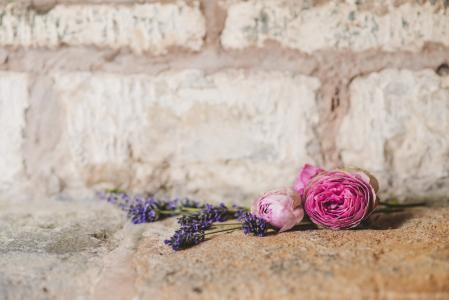 婚礼, 花, 花束, 墙上, 石头, 仪式, 安排