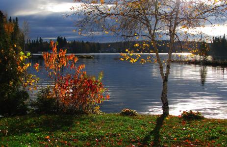 秋季景观, 湖, 水, 树木, 叶子, 颜色, 几点思考