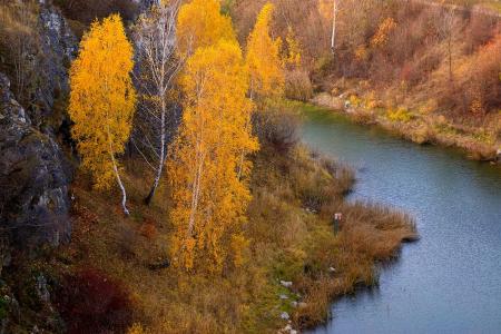 河, 水, 自然, 景观, 树, 波兰, 秋天