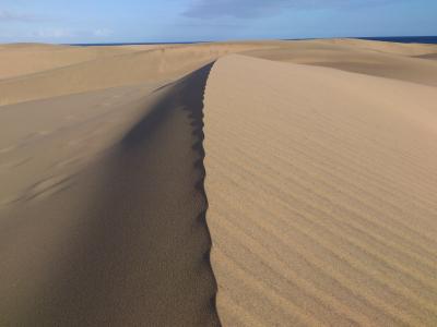 沙丘, 沙漠, 沙子, 景观, 沙丘, 自然, 干