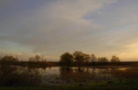 湖, 沼泽, 春天, 日落后, 自然, 乌克兰, 水