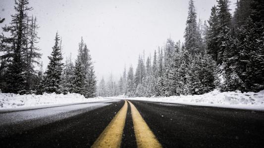 摄影, 空, 道路, 附近的, 树木, 覆盖, 雪