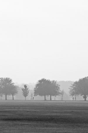 雾, 有雾, 景观, 雾, 薄雾, 早上, 神秘