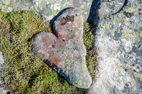 石头, 心, 自然, 浪漫, 形状, 自然