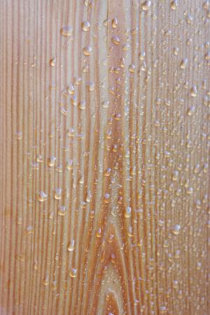 木材, 滴灌, 雨, 水一滴, 自然, 天气