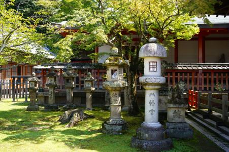 京都议定书, 风景, 寺, 枫树