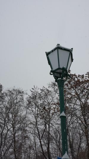 冬天, 灯笼, 雪, 白色, 黑色, 感冒, 分支机构