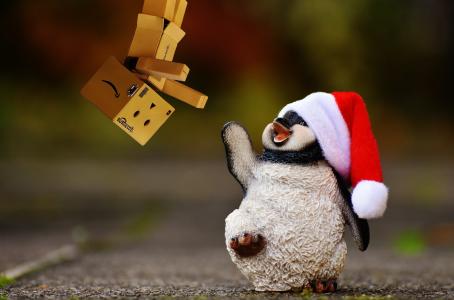 企鹅, 魄, 图, 圣诞节, 圣诞老人的帽子, 装饰, 有趣