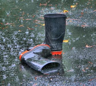 靴子, 橡胶, 套鞋, 鸻鹬, 鞋类, 湿法, 下雨天