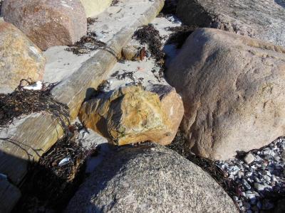 海滩, 石头, 花岗岩, 弗林特, 褐色火石, 木杆, 特写