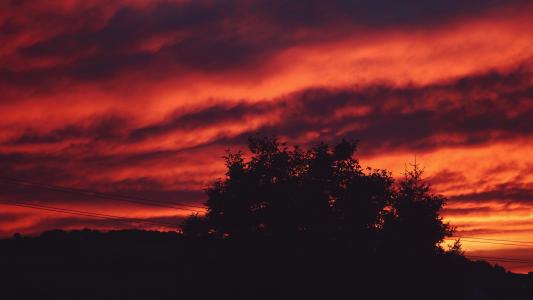 天空, 红色, 树, 自然, 晚上, 云彩, 空气