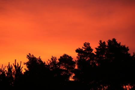 红色, 天空, 早上, morgenstimmung, 红色的天空, 心情, 黎明