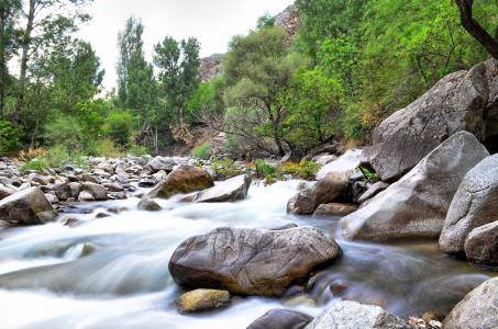 河, 景观, 土耳其, 自然, 绿色, 打开空气, 自然