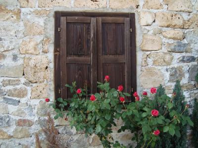 墙上, 窗口, 玫瑰, 木材-材料, 门, 建筑, 老