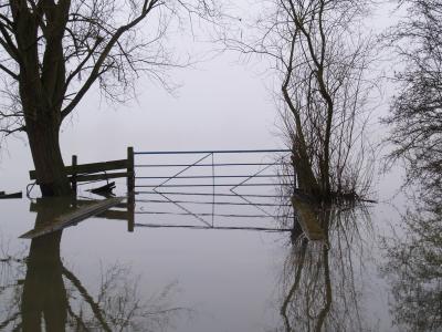 洪水, 薄雾, 农场, 自然, 景观, 雾, 水