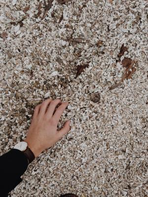 人, 触摸, 灰色, 石头, 海滩, 手, 手