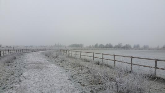 冬天, 景观, zwijndrecht, 荷兰