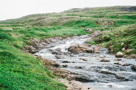 河, 绿色, 草, 字段, 照片, 自然, 溪