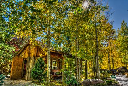 小木屋, 自然, 森林, 木制, 叶子, 秋天, 景观