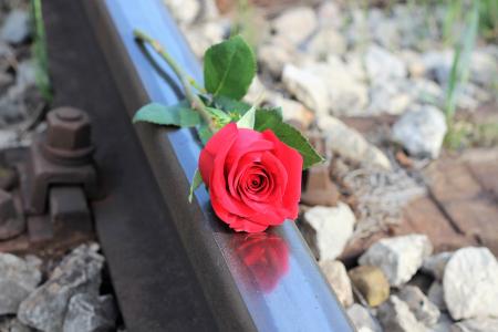 红玫瑰, 铁路, 停止自杀, 悲剧, 悲伤, 抑郁症, 严重损失