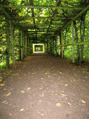 花园, 拱廊, 隧道, 自然, 树, 森林, 行人路