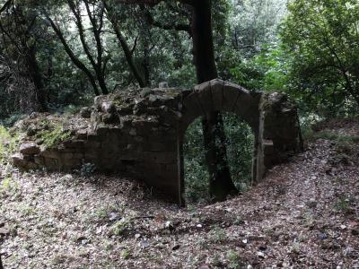 意大利, 废墟, 端口, 远古时代, 森林, 神秘