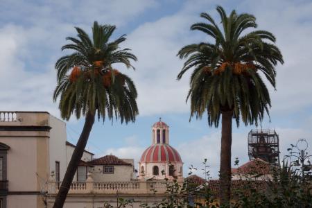 城市, 教会, 棕榈树, 建筑, 前景, 视图, 感兴趣的地方