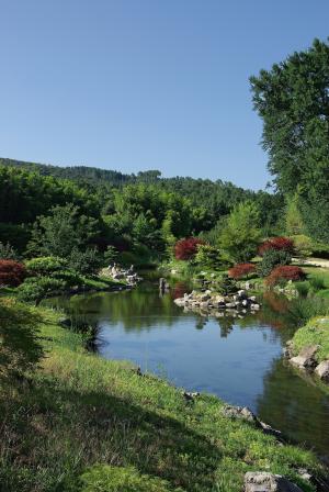 池塘, 自然, 景观, 森林, anduze, 法国