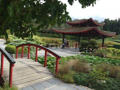 日本花园, 桥梁, 日语, 园艺, 景观
