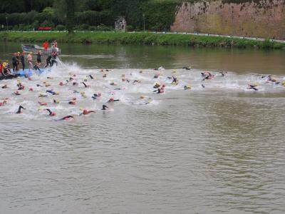 竞争, 开始, 游泳, 田径运动员, 运动员, 铁人三项, 多瑙河