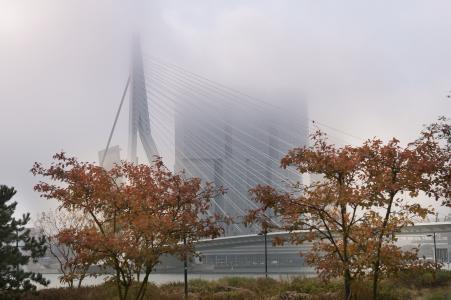 鹿特丹, 雾, 伊拉兹马斯桥, 桥梁
