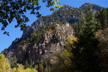 瓦萨奇, 山脉, 犹他州, 自然, 树木, 岩石, 风景名胜