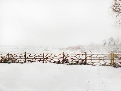 雪, 标题, 风景