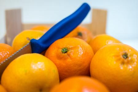 柑橘, 橘子, 水果, 橙色, 维生素, 美味, 健康