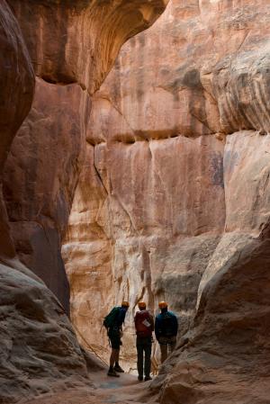 峡谷, 砂岩, 岩石, 侵蚀, canyoneering, 地质, 拱门国家公园