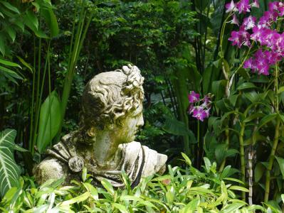 花园, 自然, 花, decos, 男性, 希腊语, 雕像