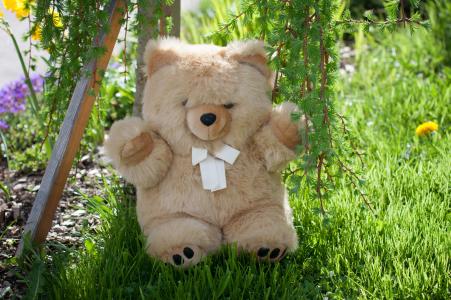 软玩具, 毛茸茸的玩具熊, 泰迪, 可爱, 软, 花园, 自然