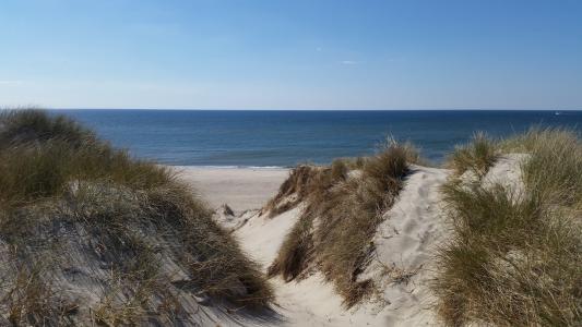 丹麦, 海滩, 海, 沙子, 沙丘, 假日, 天空