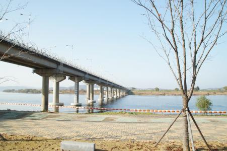 立交桥, 江边, 河, 字段, 韩国, 景观, 自然