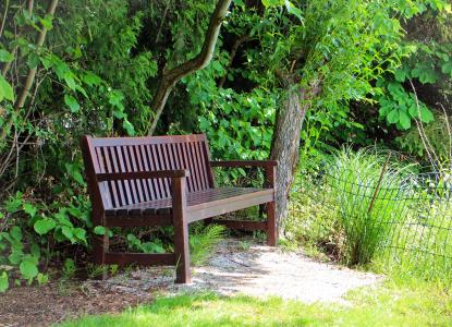 座位, 板凳, 树, 休息, 沉默, 绿色, 银行