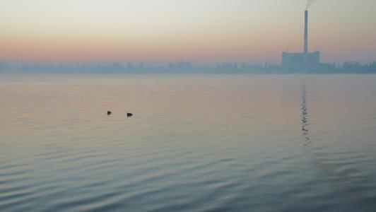 湖, 雾, 早上, 清晨