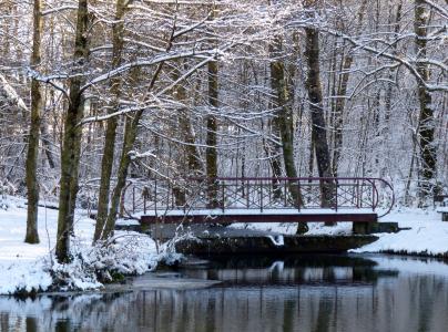 冬天, 雪, 树木, 池塘, 桥梁, 白雪皑皑, 白色