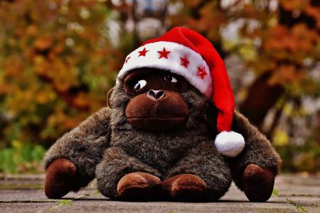 圣诞节, 圣诞老人的帽子, 毛绒玩具, 软玩具, 猴子, 大猩猩, 玩具熊