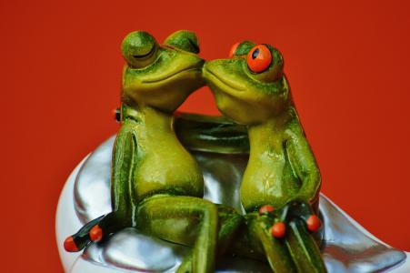 青蛙, 恋人, 有趣, 在一起, 接吻, 吻, 双