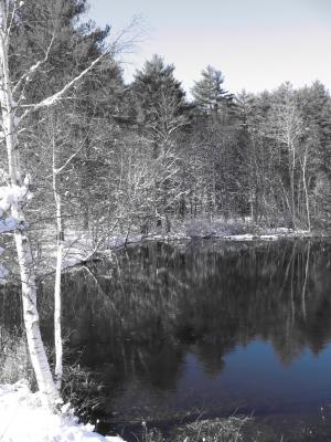 池塘, 雪, 自然, 冬天, 景观, 感冒, 白色